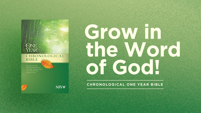 One Year Bible
